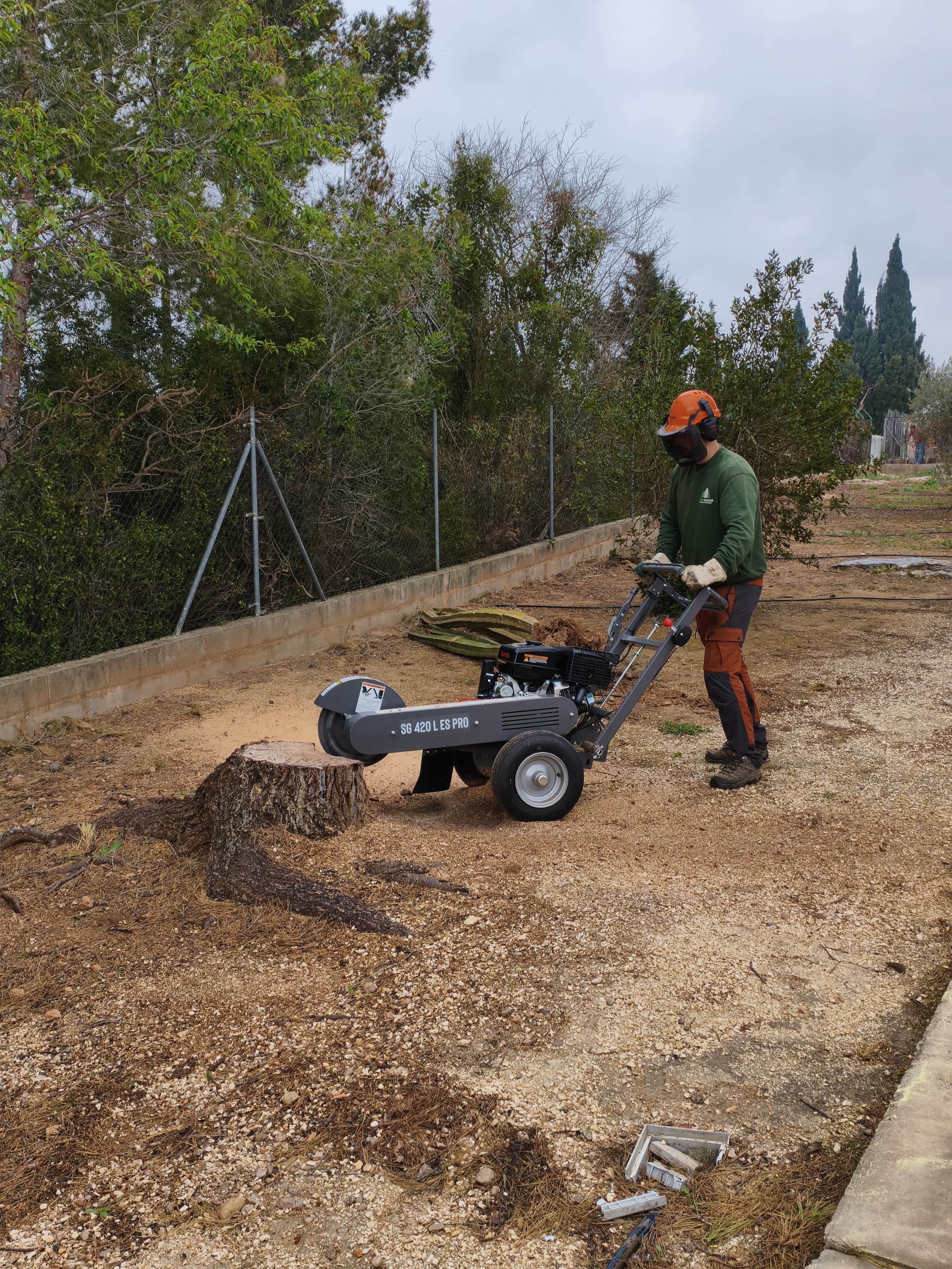 Projecte 17 Ebre Garden