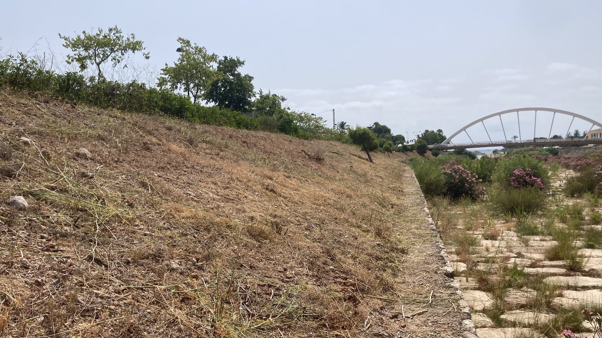 Projecte 8 Ebre Garden