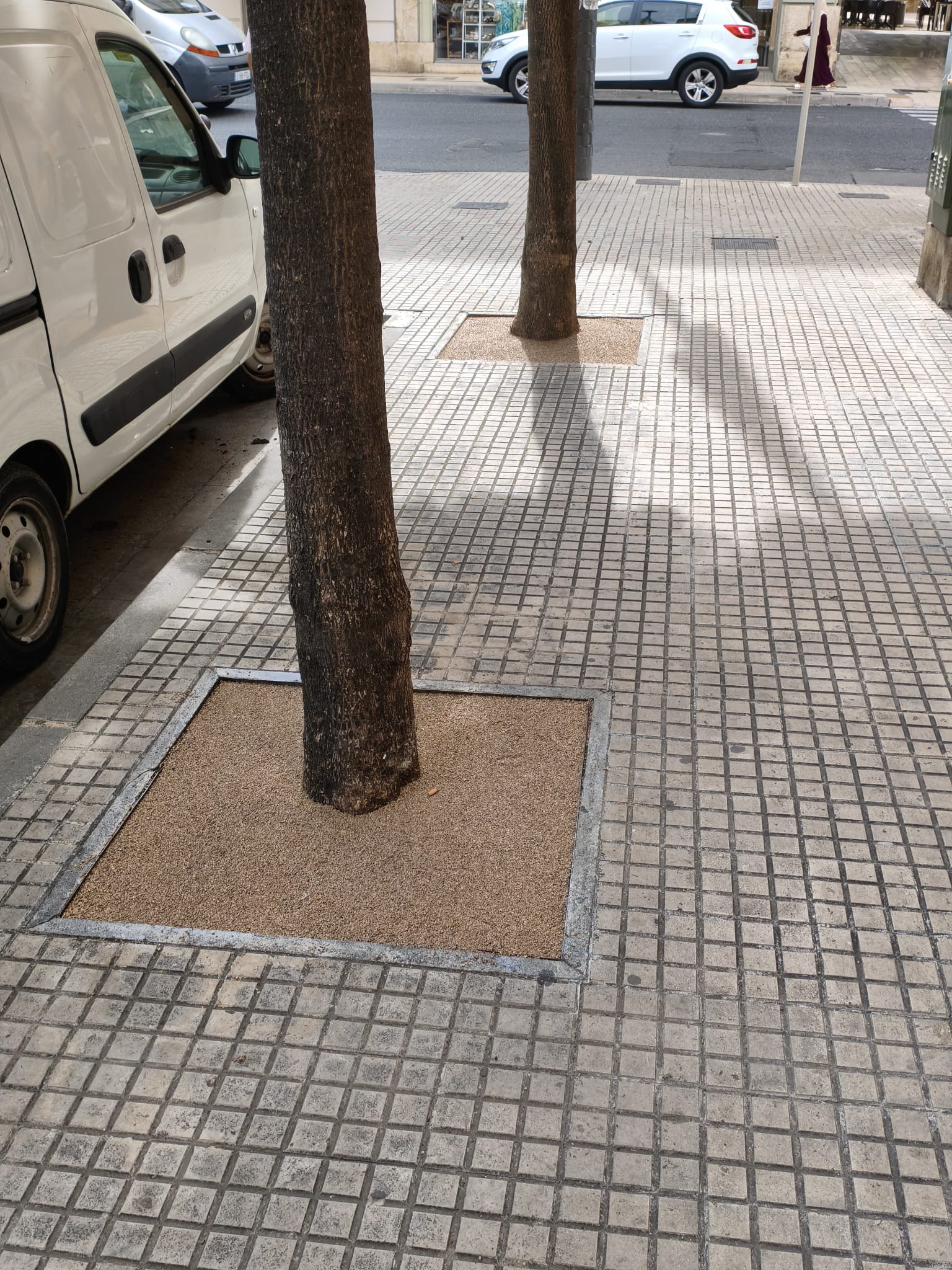 Projecte 9 Ebre Garden