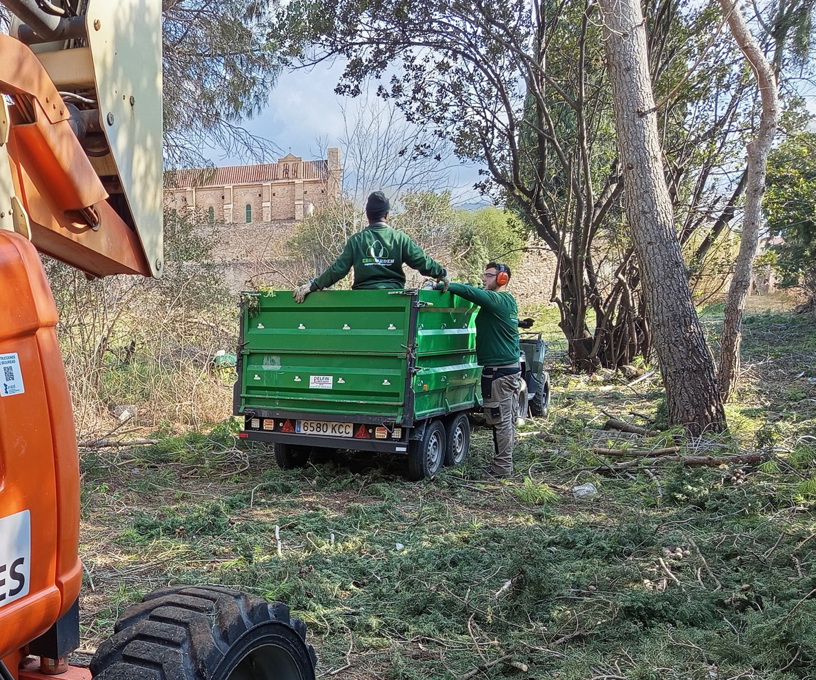 Treballs de jardineria Ebre Garden